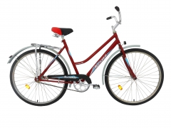 Велосипед  ”Мечта Ангара”